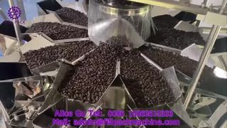 2275 J69 Macchina riempitrice e sigillatrice per chicchi di caffè con alimentazione rotativa
