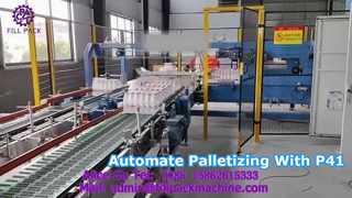 Pallettizzatore a portale 2299 P41
