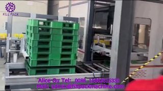 Linea di produzione di pallettizzazione a portale per imballaggio in cartone 2307 P42