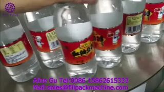 2267 M31 Etichettatrice semplice per hot-melt