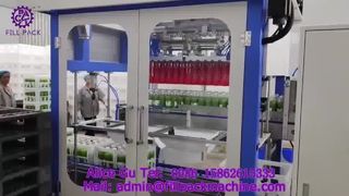 2235 P15 Macchina confezionatrice automatica con pinza a doppia testa