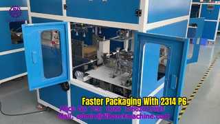 Piegatrice automatica per cartoni 2314 P6