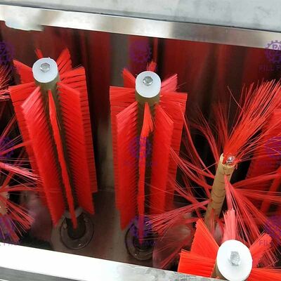 Il doppio dirige la macchina automatica di lavaggio delle bottiglie di vetro dei semi per la linea di riempimento della bevanda