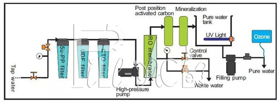 Fase minerale del distributore automatico dell'acqua del RO 9 con la membrana 4040