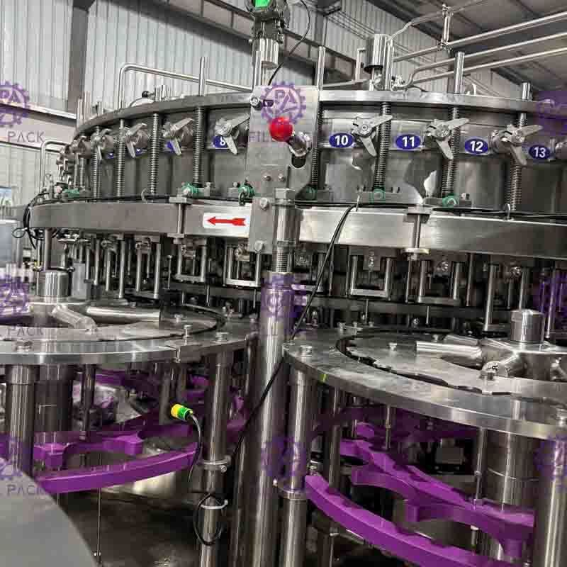 ANIMALE DOMESTICO 3 di vetro di plastica in 1 linea di trasformazione funzione della bibita Monobloc dell'arresto di emergenza